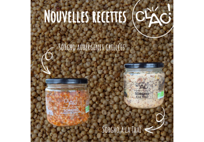 Découvrez nos deux nouvelles recettes à base de sorgho : Aubergines grillées & Saveurs Thaïlandaises