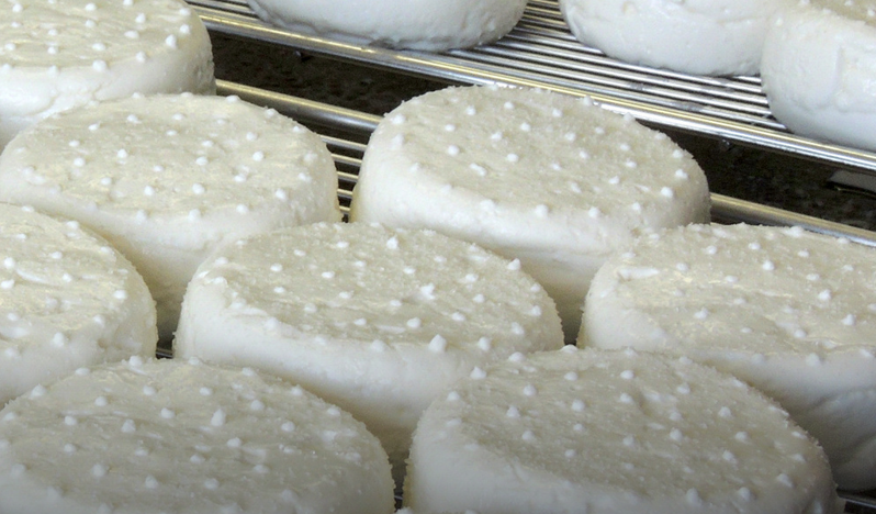 Fromage de chèvre.png